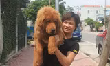 Từ hai bàn tay trắng, sau 4 năm, Kiều Văn Hoàng đã gây dựng được hai mô hình trại chó ngao Tây Tạng tại Quảng Ninh với số lượng lên đến 30 con. Đây là loại chó được coi là đắt nhất hành tinh.