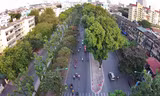 Ban duy tu các công trình hạ tầng kỹ thuật đô thị và Công ty cổ phần tư vấn đầu tư xây dựng Hà Thành đang tiến hành thực hiện phương án chặt hạ, di chuyển hơn 200 cây xanh không đúng chủng loại cây đô thị, cây cong nghiêng, sâu mục gây mất ATGT, từ ngã tư