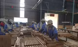 Ngành gỗ vẫn đặt mục tiêu xuất khẩu đạt 12 tỷ USD năm 2020Ảnh: Bình Phương 