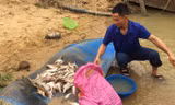 Một người dân ở Tân Kỳ vớt được nửa bao tải cá chết trên sông Con.