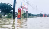 200.000 học sinh ở Hà Tĩnh sẽ nghỉ học do mưa lũ