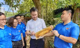Xây dựng, hỗ trợ duy trì mô hình thanh niên phát triển kinh tế