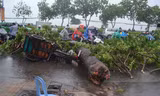 Cây cổ thụ trên đường Trường Chinh ngã đè bị thương người chạy xe ba gác.