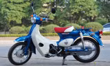 Năm 2015, Honda thêm màu xanh phiên bản đặc biệt giới hạn cho mẫu Little Cub 50 giá 78 triệu đồng, và bản thường 73 triệu đồng. 