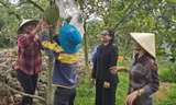 Quỹ hỗ trợ cộng đồng David Dương giúp nông dân ổn định cuộc sống