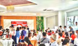 Đất nền và nhà phố phía Tây TP.HCM: Kênh đầu tư nào chiếm ưu thế?