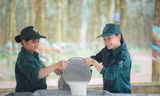 Tập đoàn Công nghiệp Cao su Việt Nam: Tăng tốc phát triển, tối ưu nguồn lực