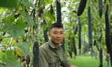 Cải tạo đất hoang trồng bí, chàng trai trẻ lãi 400 triệu đồng/năm