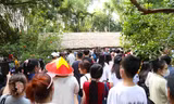 Hàng vạn người về quê Bác trong ngày giải phóng miền Nam, thống nhất đất nước