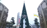 Nhìn gần cây thông Noel ‘khủng’ cao hơn tòa nhà 10 tầng ở xứ Nghệ 