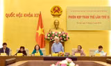 Phiên họp toàn thể lần thứ 11 - Ảnh báo Người đại biểu