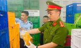 Hà Nội: Phát hiện 20 tấn gà ủ muối, nội tạng không rõ nguồn gốc