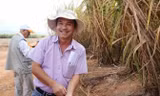 Ảnh minh họa: Internet.