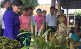 “Hòn Non bộ mà cũng nuôi cá để ăn lăng quăng là quá tốt, rất đáng khen”- Bộ trưởng Y tế khen ngợi khi thị sát tại nhà dân.