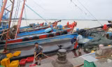 UBND tỉnh Nghệ An sẽ lệnh cấm biển vào sáng ngày 13/9.