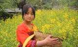 Say đắm cảnh đẹp Lai Châu lúc giao mùa