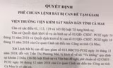 Người đàn bà tự xưng nhà báo, luật sư bị bắt về tội 'vu khống'