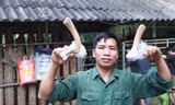 Trưởng thôn tập hợp người dân nuôi hươu sao, cùng giúp nhau làm giàu