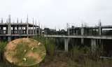 Sân golf 5 sao 'chết yểu' của FLC ở Phú Thọ thành bãi chăn dê