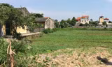 Con đường lấy một phần đất dân cư đã ở ổn định. Ảnh: Đ Loan