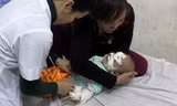 Bé Thùy Linh vẫn đang được các bác sĩ chăm sóc, theo dõi tại bệnh viện Sản - Nhi Nghệ An