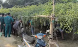 Vườn táo nhà bà Tùng, ông Tấn