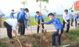 Tuổi trẻ Đà Nẵng trồng mới 25,5 ngàn cây xanh trong năm 2022