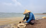 Kiếm tiền triệu mỗi ngày nhờ hồ Trị An... cạn nước