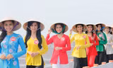 Vẻ đẹp lan tỏa trên vùng điện gió Bạc Liêu