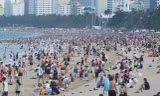 Xuất hiện sứa lửa ở biển Nha Trang 