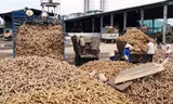 Tinh bột sắn là một trong những mặt hàng gặp vướng mắc trong hoàn thuế VAT thời gian qua. (Ảnh minh hoạ, ST). 