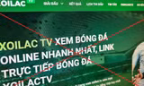 Việt Nam thiệt hại hơn 7.000 tỷ đồng do vi phạm bản quyền