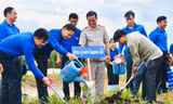 Tuổi trẻ Hà Tĩnh và những dấu ấn nổi bật trong Chiến dịch Thanh niên tình nguyện hè 2023