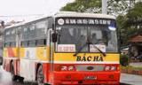 Cho phép chỉ định thầu thay thế 5 tuyến buýt của Cty Bắc Hà