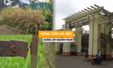 Những công viên được mệnh danh 'lá phổi xanh' của Thủ đô đang bị xuống cấp nghiêm trọng