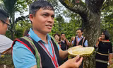 Hàng nghìn nông dân đổi đời, mua ô tô nhờ sầu riêng 