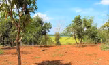 Dựng chòi trên đất ‘view’ ruộng, sông, suối: Tự nhận ‘cháu của cây tùng, cây bách’