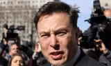 Elon Musk sa thải thêm hơn 6.000 nhân viên