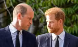Câu nói khiến Harry phải trả giá