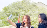Đẹp ngỡ ngàng mùa hoa sưa nở trắng trời Hà Nội