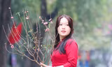 Những cô gái Hà thành thướt tha áo dài xuống phố đón xuân