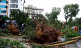 Hà Nội mưa lốc kinh hoàng, giao thông tê liệt