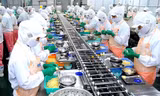 Lộ diện tỉnh duy nhất Việt Nam có vốn FDI vượt mốc 3 tỷ USD 