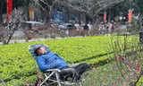 29 Tết: Tiểu thương ngủ gật, đào quất ế chỏng chơ 
