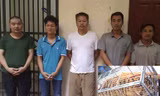 Các đối tượng và cá thể hổ (ảnh nhỏ).