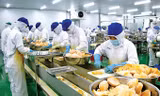 Dư địa để ngành nông nghiệp phát triển là chuyển từ tăng trưởng bằng sản lượng, cạnh tranh bằng giá rẻ sang tăng trưởng bằng chất lượng, cạnh tranh về giá trị 