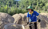 Đi để trưởng thành 