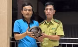 Người dân tự nguyện giao nộp con vật quý hiếm, nguy cơ tuyệt chủng
