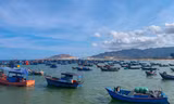 ‘Làng chạy gió’ ven biển có gì mà hút khách du lịch đến vậy? 