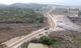 Người dân trồng hàng chục nghìn cây mai trên dự án cao tốc Khánh Hòa - Buôn Ma Thuột